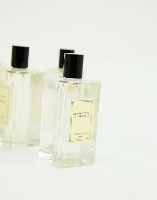 Ambientador Spray Cereria Mollá