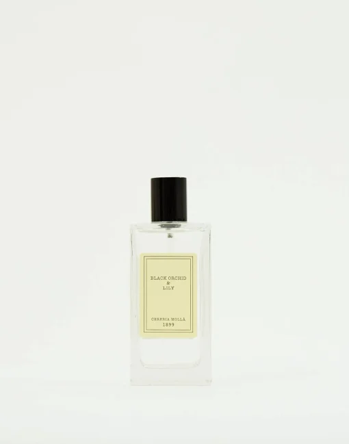 Ambientador Spray Cereria Mollá