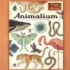Animalium