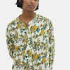 Blusa Dobbi Alasie