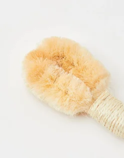 Cepillo Corporal