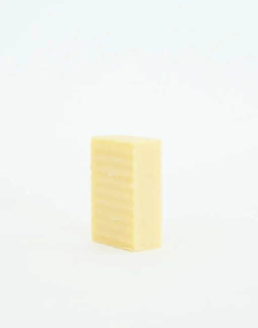 Champú En Pastilla 100gr