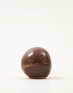 Hucha Coco