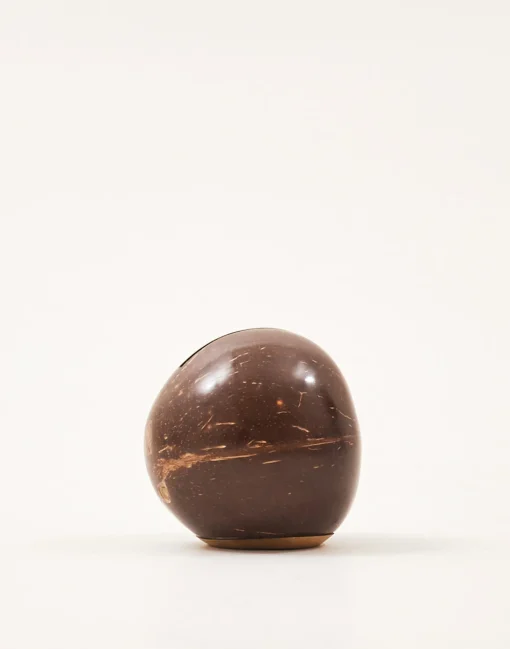 Hucha Coco