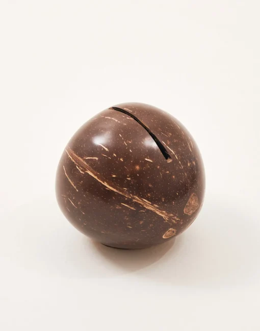 Hucha Coco