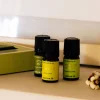 Kit Aceites Esenciales Meditation
