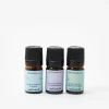 Kit Aceites Esenciales Wellness