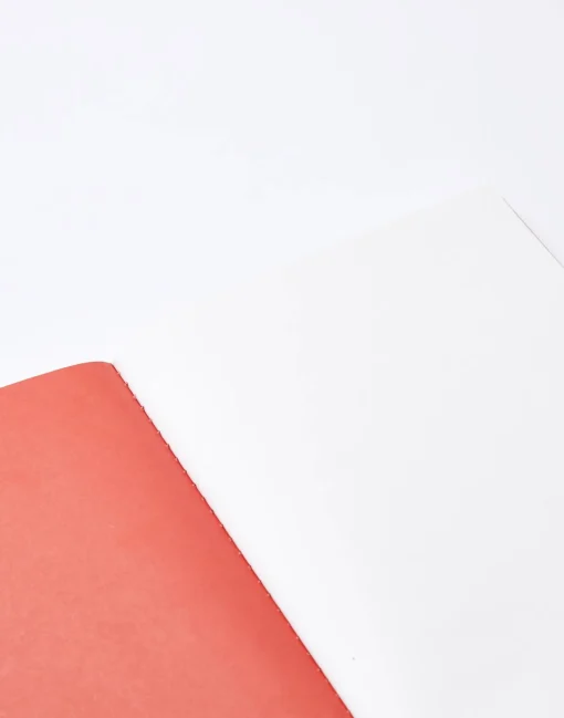 Libreta Manifiesto