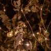 Mini Tira De Luces