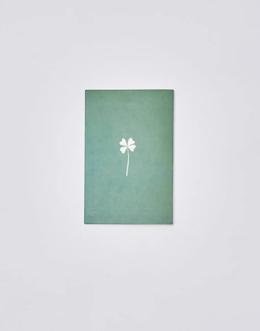Postal Papel Con Sobre